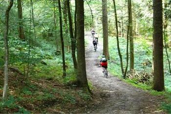 Bicicletta in piena tranquillità